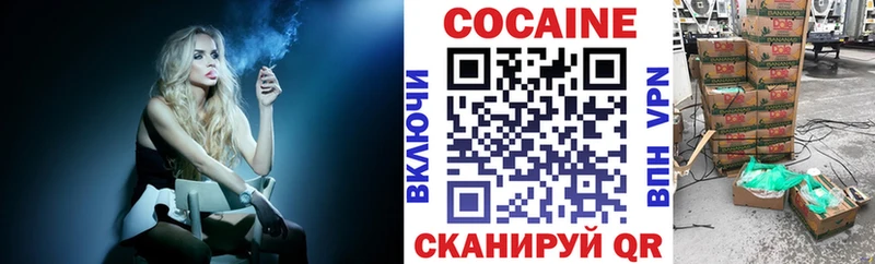 МЕГА tor  shop клад  Каменка  Кокаин 98%  купить  