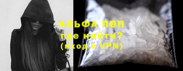 стаф Абаза