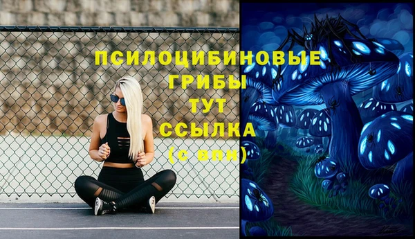 стаф Абаза