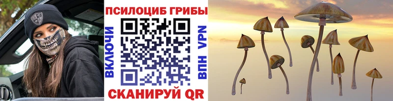 Псилоцибиновые грибы мицелий  Каменка 
