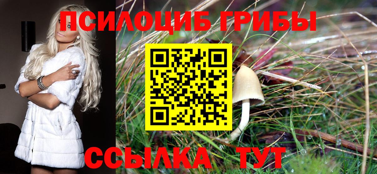 Псилоцибиновые грибы MAGIC MUSHROOMS Каменка