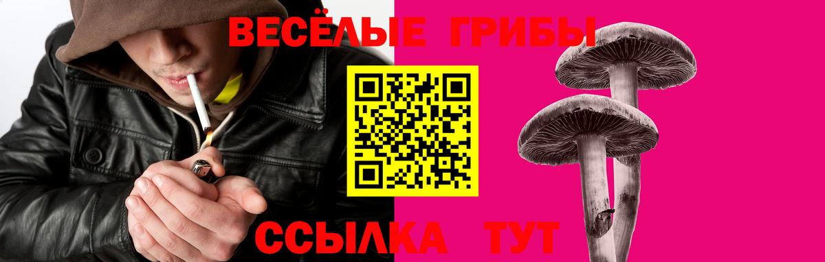 Каменка  Псилоцибиновые грибы GOLDEN TEACHER  Псилоцибиновые грибы MAGIC MUSHROOMS  Вход с VPN 